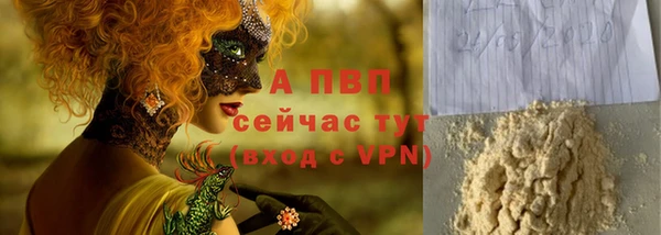 дживик Богородск