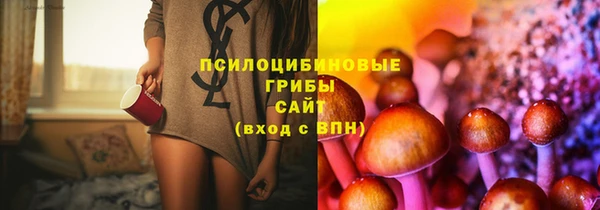 а пвп мука Богданович