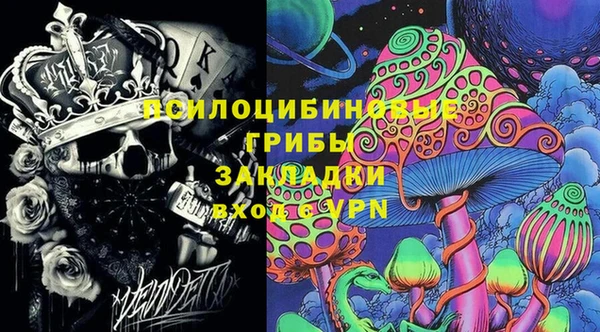 дживик Богородск