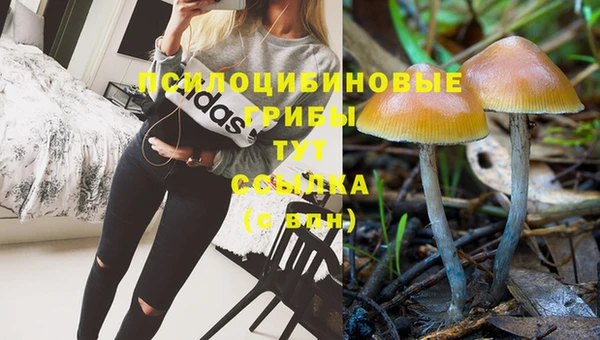 дживик Богородск