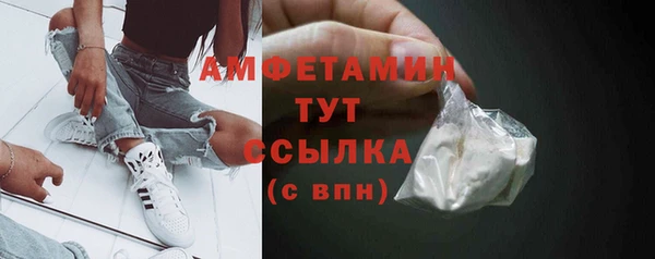 дживик Богородск