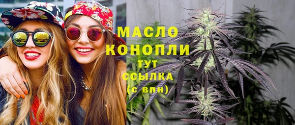 дживик Богородск