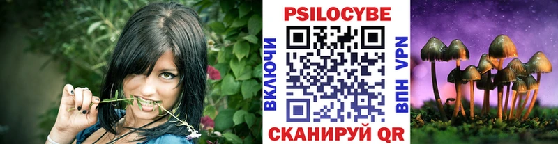 Галлюциногенные грибы Cubensis  где продают наркотики  Долинск 